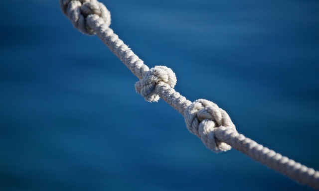 Hình ảnh minh họa ý nghĩa của từ intertwining