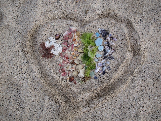 Hình ảnh minh họa ý nghĩa của từ introduction