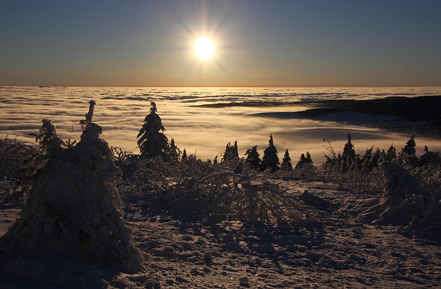 Hình ảnh minh họa ý nghĩa của từ inversely