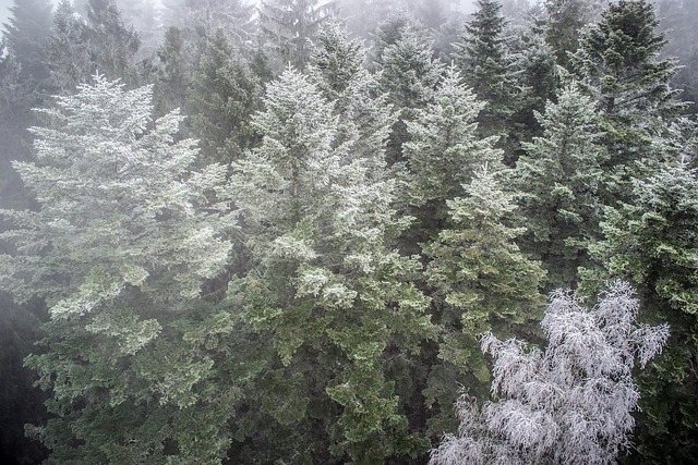 Hình ảnh minh họa ý nghĩa của từ inversion