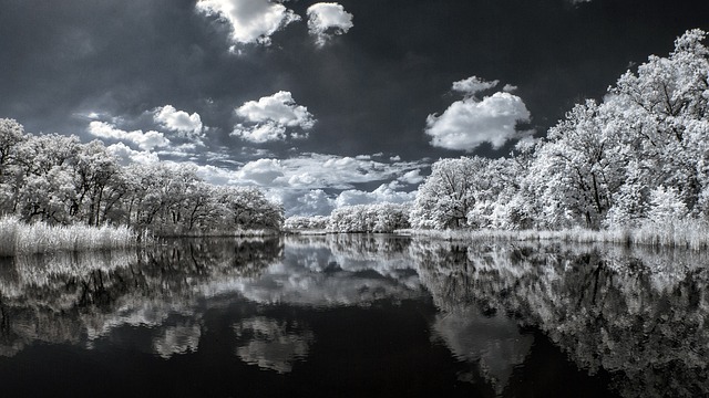 Hình ảnh minh họa ý nghĩa của từ irs