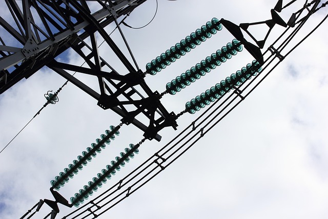 Hình ảnh minh họa ý nghĩa của từ isolator