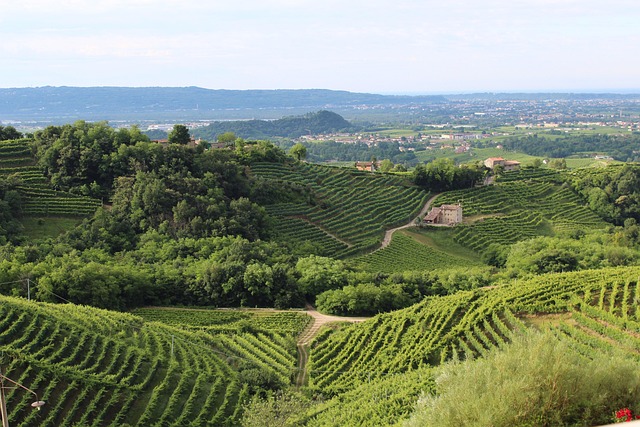 italian countryside
