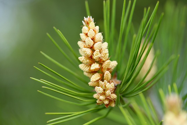 Hình ảnh minh họa ý nghĩa của từ jaw