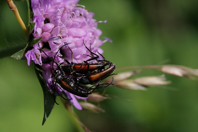 Hình ảnh minh họa ý nghĩa của từ jostling