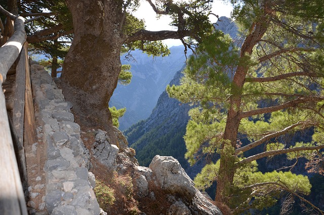 judea and samaria area