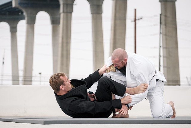 jujutsu