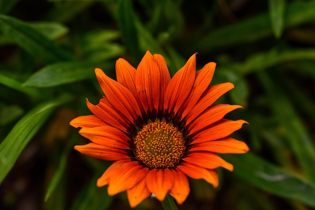 Hình ảnh minh họa ý nghĩa của từ jus in bello