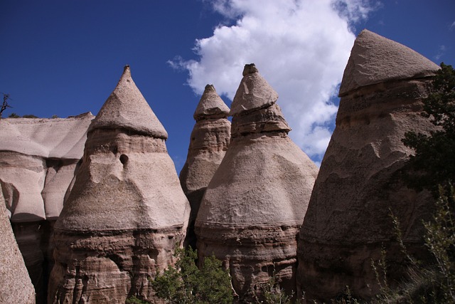 Hình ảnh minh họa ý nghĩa của từ kasha