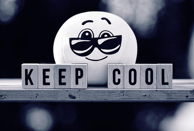Hình ảnh minh họa ý nghĩa của từ keep your cool