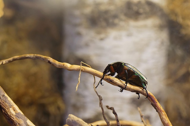 Hình ảnh minh họa ý nghĩa của từ keratin