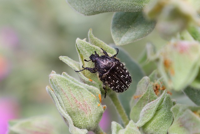 Hình ảnh minh họa ý nghĩa của từ ketone