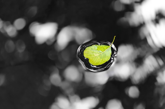 Hình ảnh minh họa ý nghĩa của từ key area