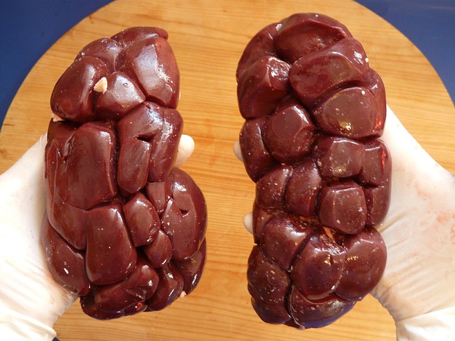 kidney function
