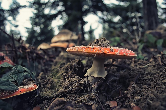 Hình ảnh minh họa ý nghĩa của từ kill it