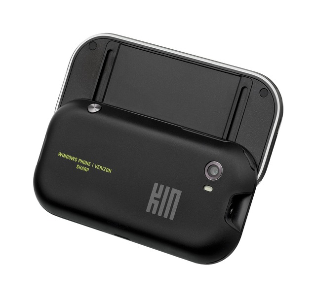 Hình ảnh minh họa ý nghĩa của từ kin