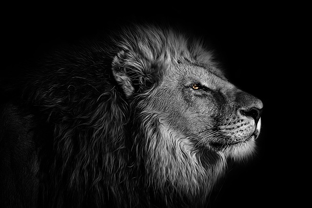 king of beasts