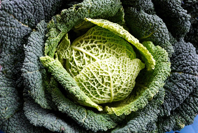 Hình ảnh minh họa ý nghĩa của từ kohl