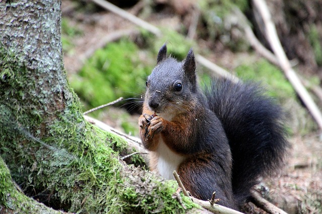 Hình ảnh minh họa ý nghĩa của từ kudos