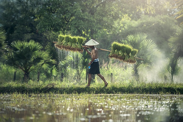 labor harmony