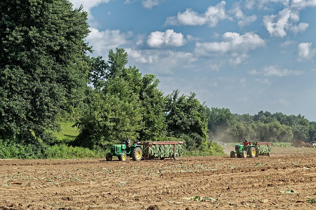 laborers