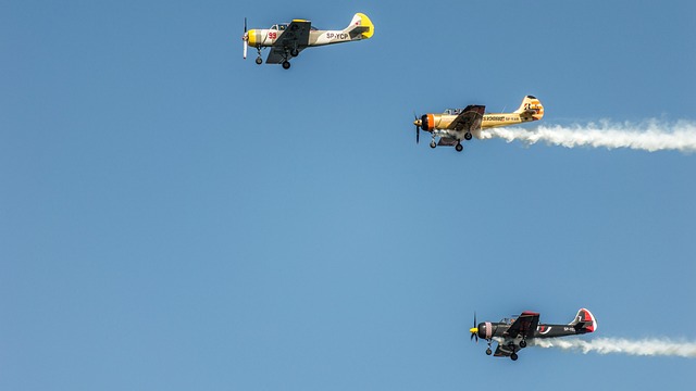 Hình ảnh minh họa ý nghĩa của từ landed class