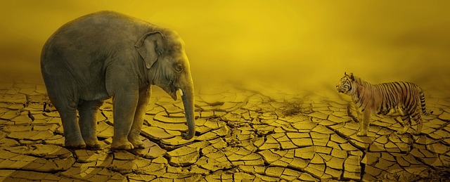 Hình ảnh minh họa ý nghĩa của từ landing