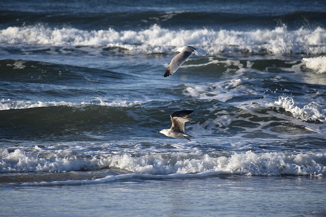 Hình ảnh minh họa ý nghĩa của từ launched