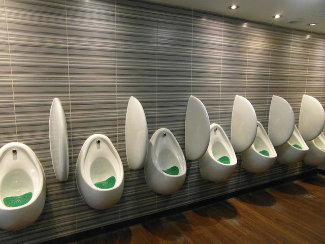 Hình ảnh minh họa ý nghĩa của từ lavatory