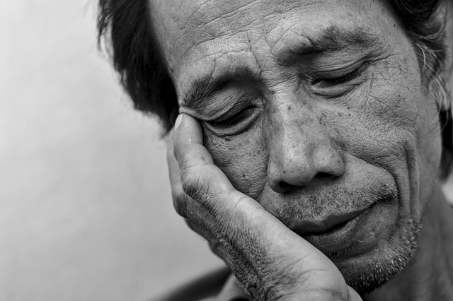 Hình minh họa pigro