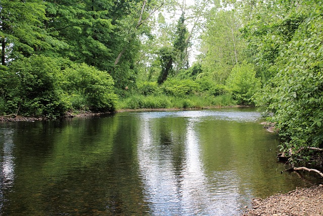lazy river