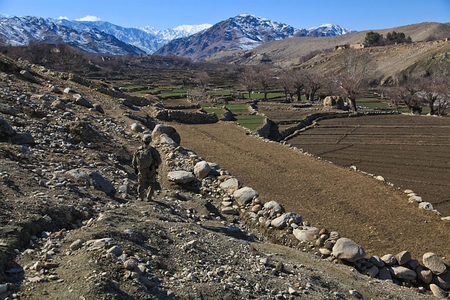 Hình ảnh minh họa ý nghĩa của từ leaching