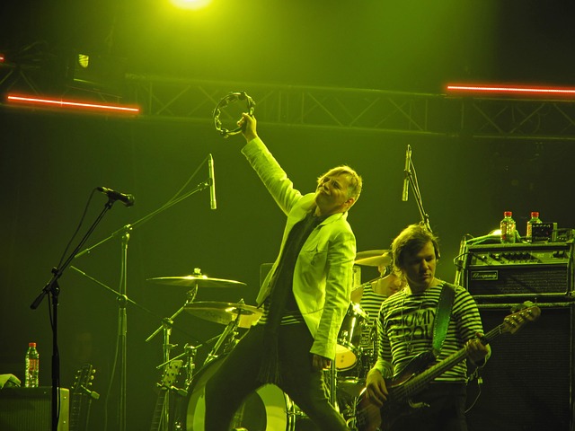 lead vocalist