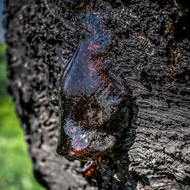 Hình ảnh minh họa ý nghĩa của từ leakage