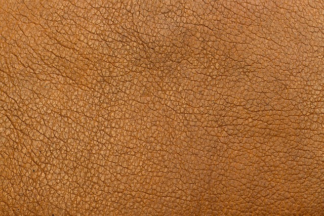 leather grain