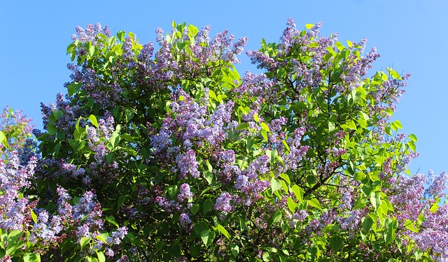 Hình ảnh minh họa ý nghĩa của từ leave without pay