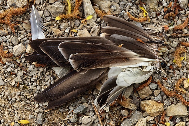 Hình ảnh minh họa ý nghĩa của từ leftovers