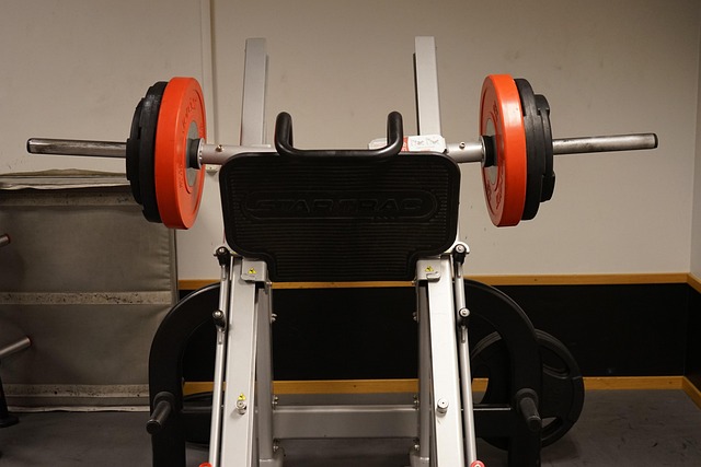 leg press