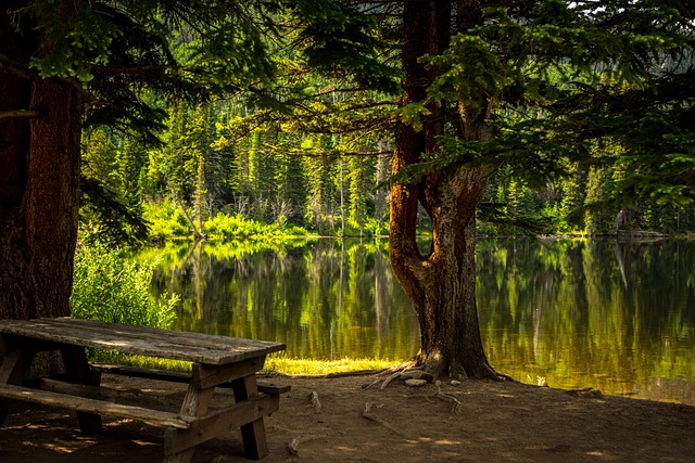 leisure area
