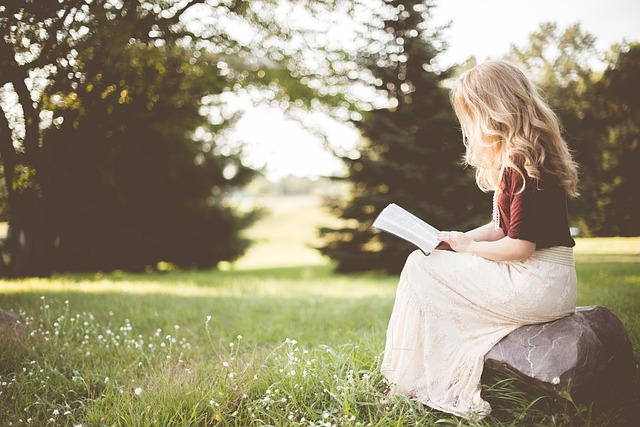 leisure reader