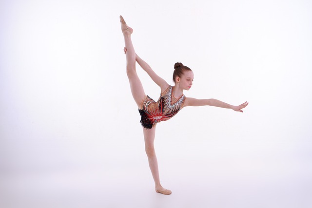leotard