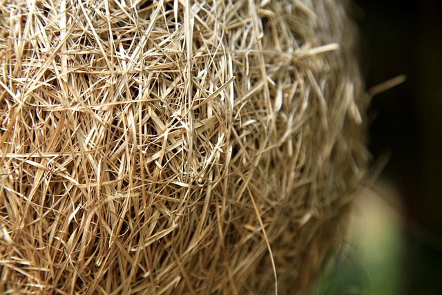 Hình ảnh minh họa ý nghĩa của từ less complicated