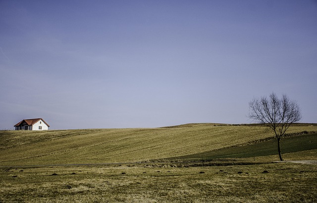 Hình ảnh minh họa ý nghĩa của từ less significantly