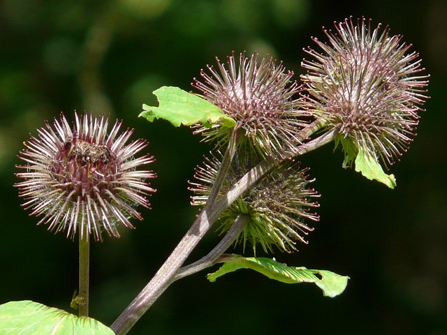 Hình ảnh minh họa ý nghĩa của từ liable