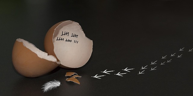 Hình ảnh minh họa ý nghĩa của từ liberating (person)