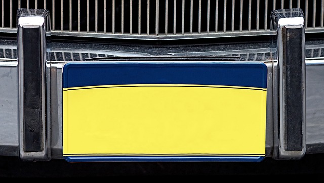 Hình ảnh minh họa ý nghĩa của từ licence