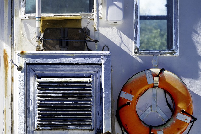 Hình ảnh minh họa ý nghĩa của từ life preserver