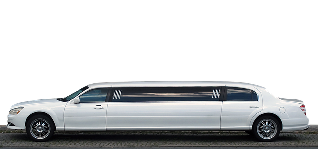 Hình ảnh minh họa ý nghĩa của từ limousine