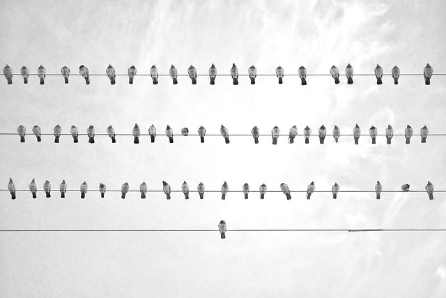 line of symmetry