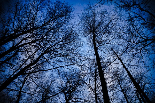 linear growth